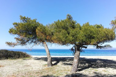 Lagoon Sahili yakınlarındaki Kassandra kıyı şeridi, Chalkidiki, Orta Makedonya, Yunanistan
