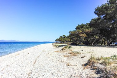 Lagoon Sahili yakınlarındaki Kassandra kıyı şeridi, Chalkidiki, Orta Makedonya, Yunanistan
