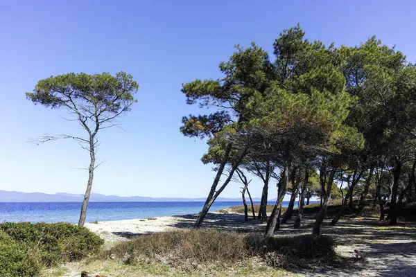 Lagoon Sahili yakınlarındaki Kassandra kıyı şeridi, Chalkidiki, Orta Makedonya, Yunanistan