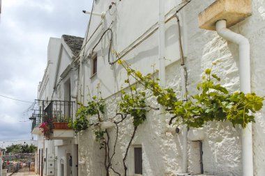 Apulia Bölgesi, İtalya 'nın Alberobello şehrinin muhteşem manzarası.