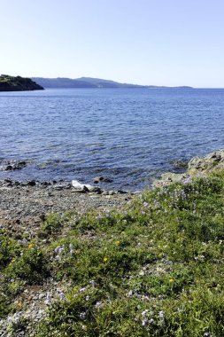 Kassandra 'nın Xina, Chalkidiki, Orta Makedonya ve Yunanistan köyü yakınlarındaki kıyı şeridinin inanılmaz manzarası