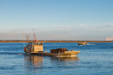 İstiridye tekneleri limana dönüyor. 