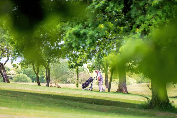 Golfistas Num Campo Golfe — Fotografia de Stock