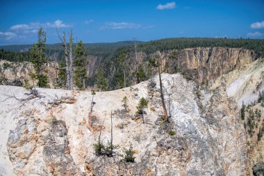 Yellowstone Ulusal Parkı Manzarası