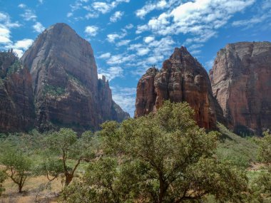 Zion Ulusal Parkı 'nda dikey duvar