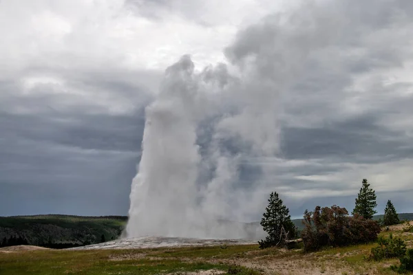 Alter Getreuer Geysir Yellowstone — Stockfoto