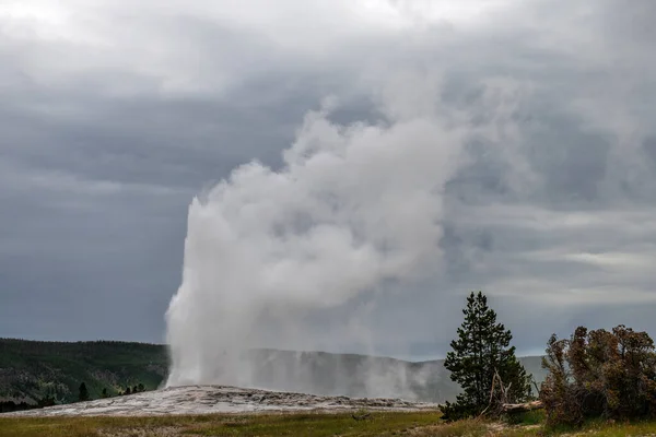 Oude Trouwe Geiser Yellowstone — Stockfoto