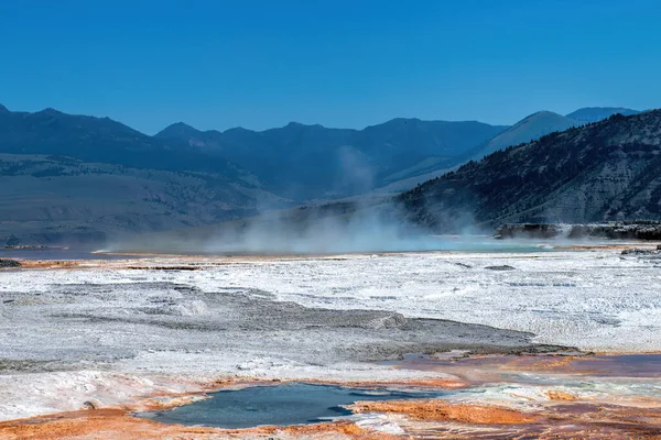 Mamute Primavera Parque Yellowstone — Fotografia de Stock