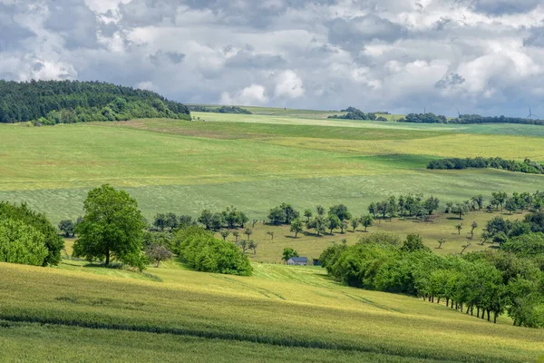Landschaft Aus Feldern Und Bäumen — Stockfoto