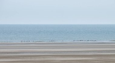 Berck Plage 'da suda yürüyenler