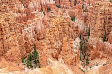 ABD 'deki Bryce Canyon Parkı