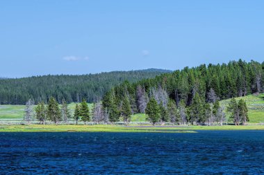 Yellowstone Ulusal Parkı Manzarası