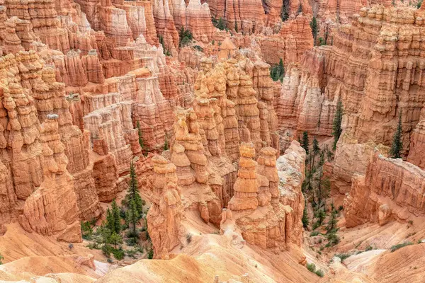 Bryce Canyon Park Usa Ban Stock Kép