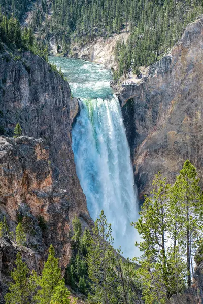 Alsó Vízesés Yellowstone Nemzeti Parkban Stock Kép