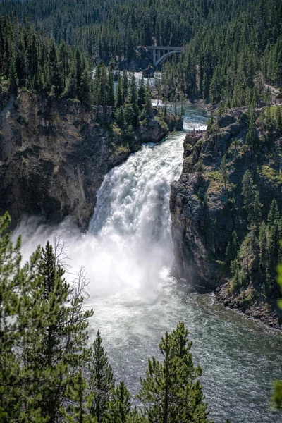 Upper Falls Yellowstone National Park Jogdíjmentes Stock Képek