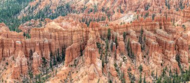 ABD 'deki Bryce Canyon Parkı