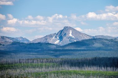 Yellowstone Ulusal Parkı Manzarası