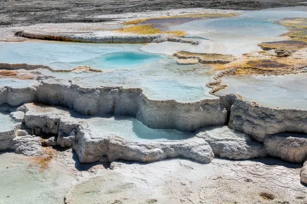 Mammoth Spring Yellowstone Park Stock Picture