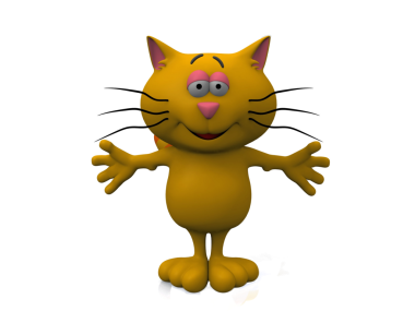 Beyaz arka plandaki kedi