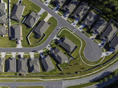 Düz yüzeydeki çiğ sarı mısır tohumlarının üst görüntüsü