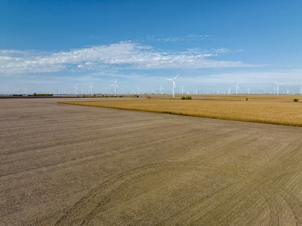 田舎のトウモロコシ畑の風力タービン 農業産業 エアリアルビュー ストック画像