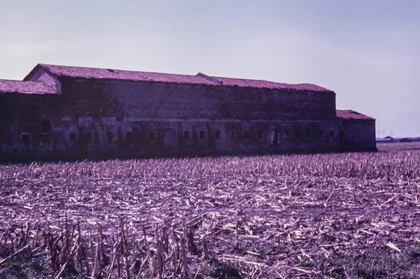 イタリア ロビゴ1979年5月 70年代の北イタリアの田園風景 — ストック写真