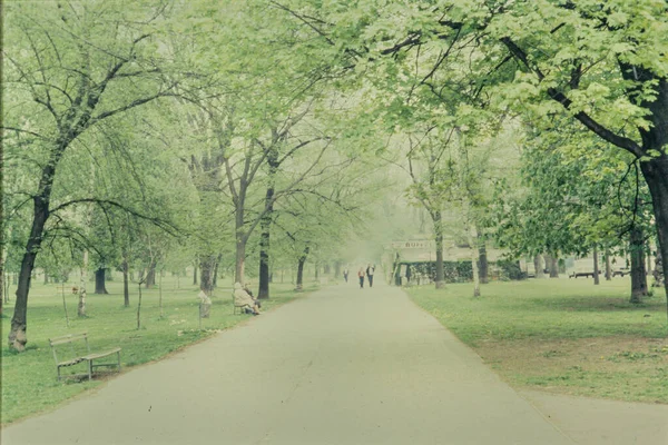 Bécs Ausztria 1985 Április Évekbeli Parkok Gyalogösvényekkel Fákkal — Stock Fotó