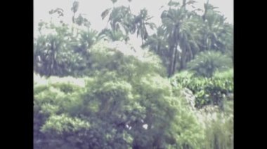 Kahire, Mısır 1988: 80 'lerde Mısır Nil navigasyon sahnesi