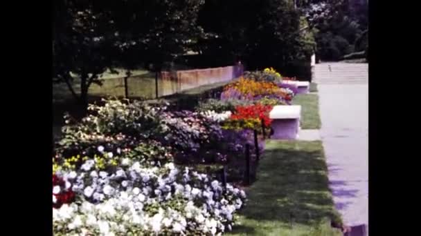 Nowy Jork Stany Zjednoczone Może 1979 Loto Kwiat Sceny Latach — Wideo stockowe