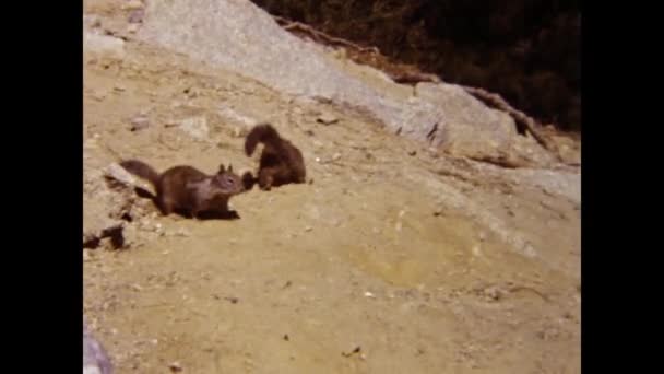 Сьерра Невада Сша Май 1981 Вид Национальный Парк Йосемити — стоковое видео