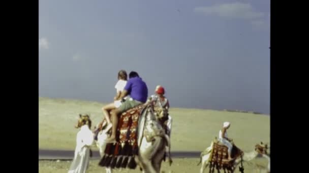 1988年5月エジプト カイロ 80年代のギザ シーンでのラクダの遠足 — ストック動画