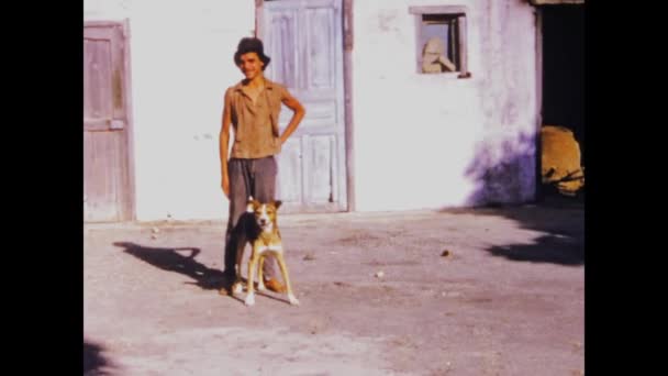 Tangier Maroko Czerwiec 1970 Młody Chłopiec Sceną Psów Latach Tych — Wideo stockowe