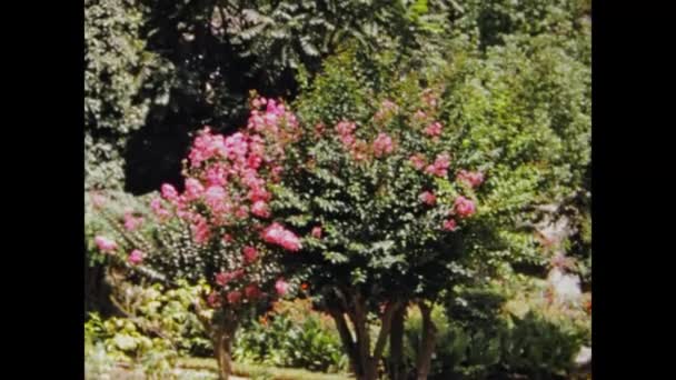 1970年5月モロッコ シェフチョーエン 70年代のモロッコ庭園景観 — ストック動画