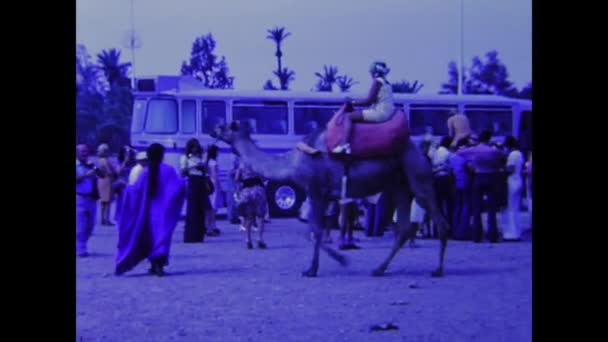 モロッコのカサブランカ1973年9月 70年代のラクダのシーンと人々の旅行 — ストック動画