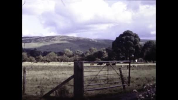 1982年10月 联合王国达勒姆 80年代在英国放牧的羊 — 图库视频影像