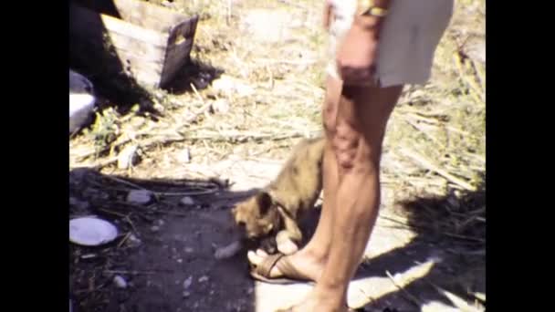 Rhodes Grèce Juin 1981 Homme Câline Joue Avec Scène Canine — Video