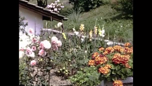 ロッティグナ スイス1969 60年代の庭の風景の中の植物と花 — ストック動画