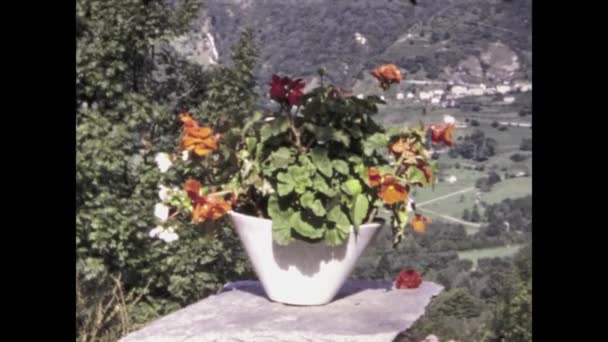 Lottigna Zwitserland November 1970 Bloeiende Tuin Scene Jaren — Stockvideo
