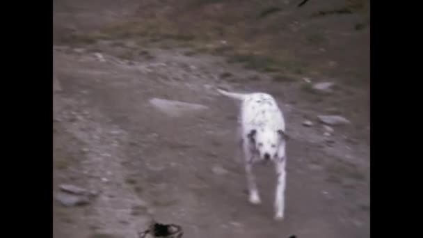 Sorebois Schweiz Juni 1974 Sorebois Bergslandskapsscen Talet — Stockvideo