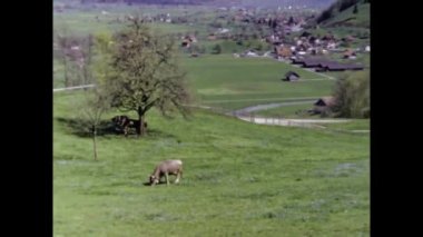 Oberland, İsviçre Mayıs 1970: 70 'lerde Oberland Gölü manzarası