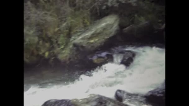 Sudtirol Talya 1984 Dağ Torrent Akış Sahnesi Lerde — Stok video