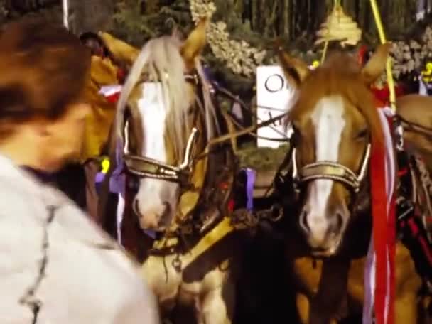 Molveno Italy June 1973 Horses Village Fair Scene 70S — Stock Video