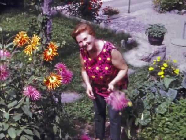 スイス マサグノ1967年 昭和42年 60歳のおばあさんが庭で花を集める — ストック動画