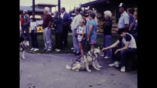 Tok Ηνωμένες Πολιτείες Ιούλιος 1987 Σκηνή Εκπαίδευσης Σκύλων Έλκηθρο Στην — Αρχείο Βίντεο