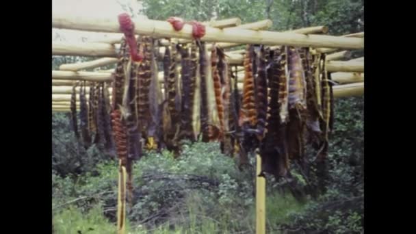 Fairbanks United States July 1987 Meat Hanging Outdoors Dry Alaska — Αρχείο Βίντεο