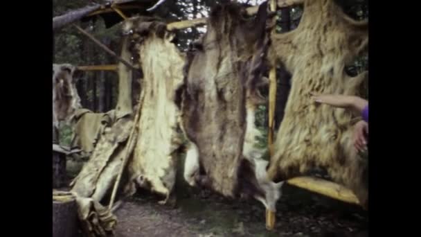 Fairbanks United States July 1987 Fur Coats Hung Outdoors Scene — Video
