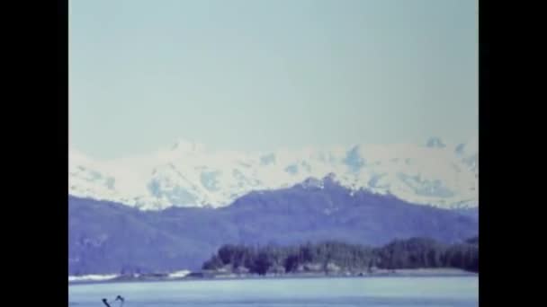 Fairbanks United States July 1987 Alaska Glacier Landscape Summer Scene — Video