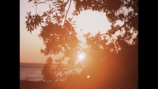 ギリシャミコノス島1966年6月 60年代にシルエットの木のシーンで海の上にオレンジの夕日 — ストック動画