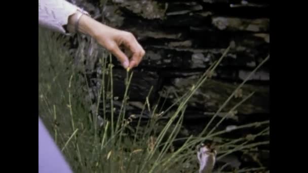 Дафтаун Велика Британія Може 1979 Жінка Годує Індичку Сценою — стокове відео