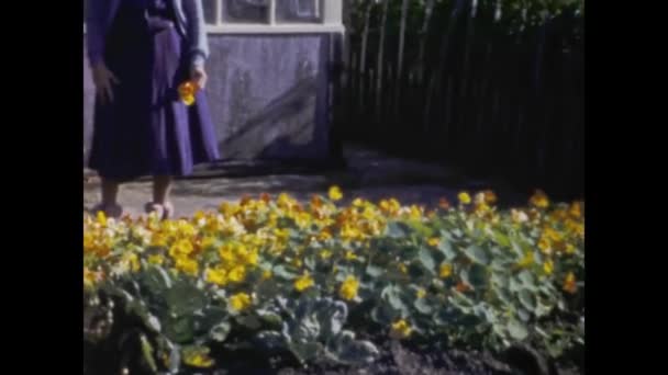 Paris France May 1955 Old Lady Picks Flowers Garden Scene — Vídeo de stock
